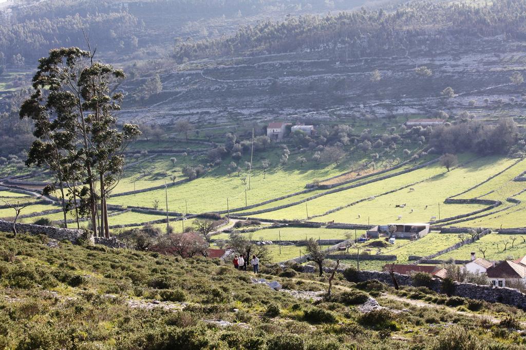Meio Country House Alcanede Dış mekan fotoğraf